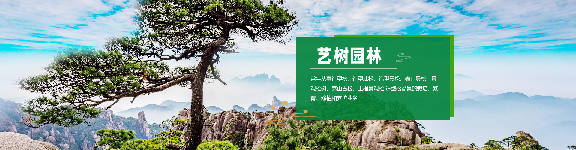 泰安市天正檢測中心有限公司